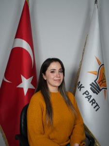 sila-saglam