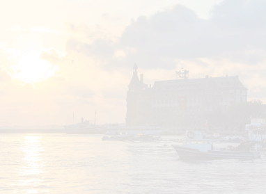 Kadıköy İlçe Başkanı